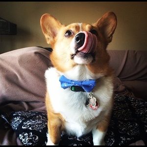 Meet your Posher, Julia